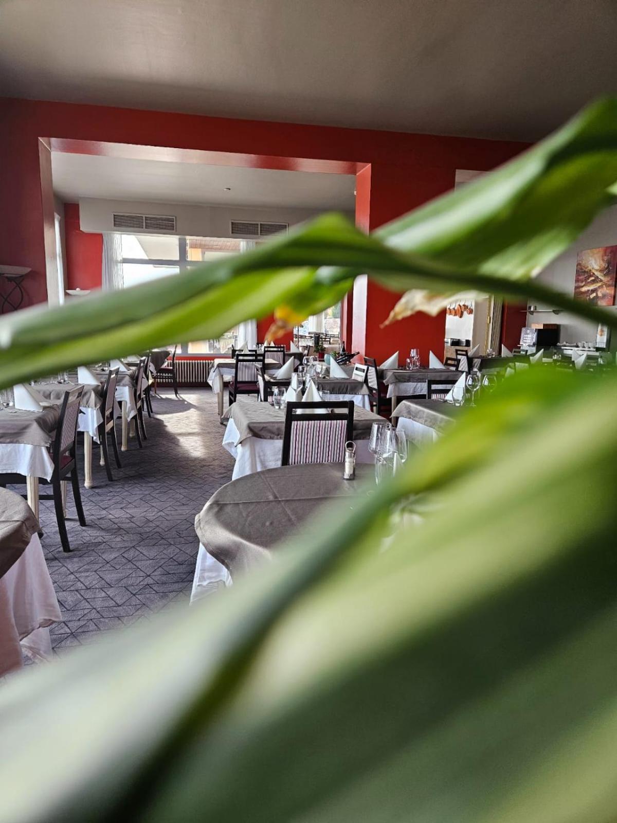 Alexain Hotel Restaurant & Wellness - Colmar Ouest Trois-Épis Eksteriør billede