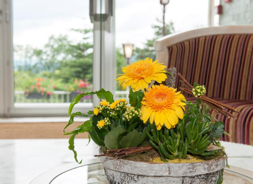 Alexain Hotel Restaurant & Wellness - Colmar Ouest Trois-Épis Eksteriør billede